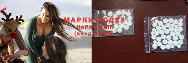 ГАЛЛЮЦИНОГЕННЫЕ ГРИБЫ Снежногорск
