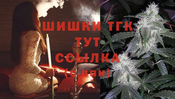 ГАЛЛЮЦИНОГЕННЫЕ ГРИБЫ Снежногорск