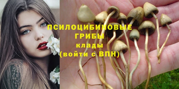 наркотики Снежинск