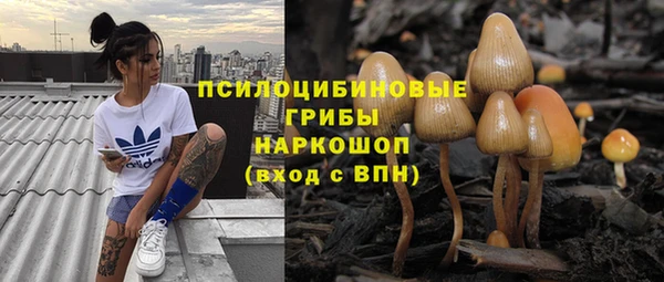 ГАЛЛЮЦИНОГЕННЫЕ ГРИБЫ Снежногорск
