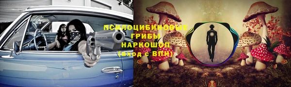 ГАЛЛЮЦИНОГЕННЫЕ ГРИБЫ Снежногорск