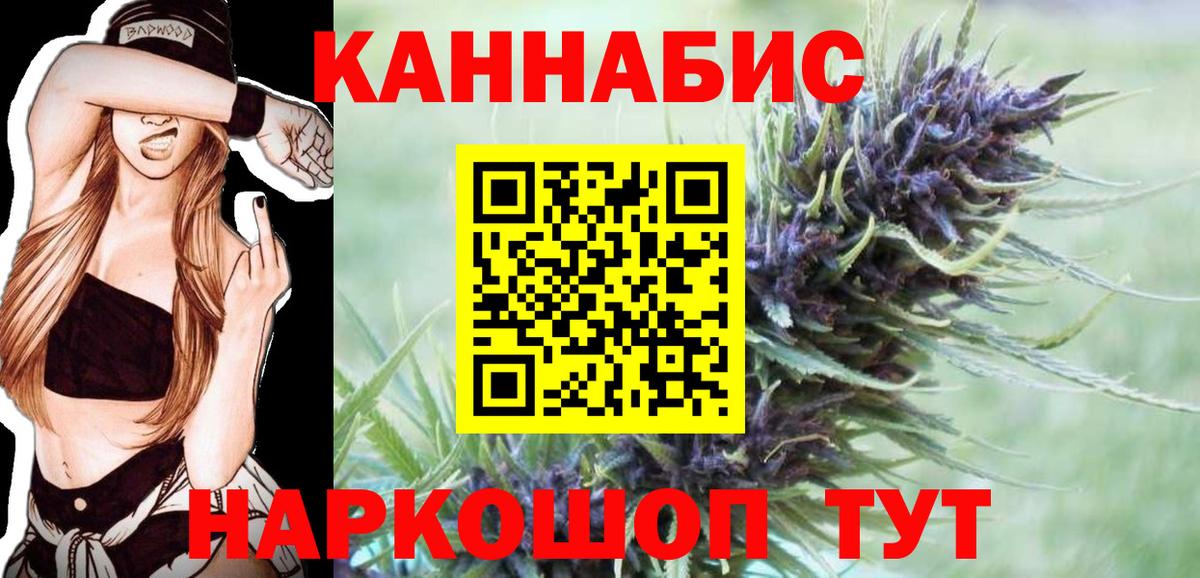 Бошки Шишки план Абинск